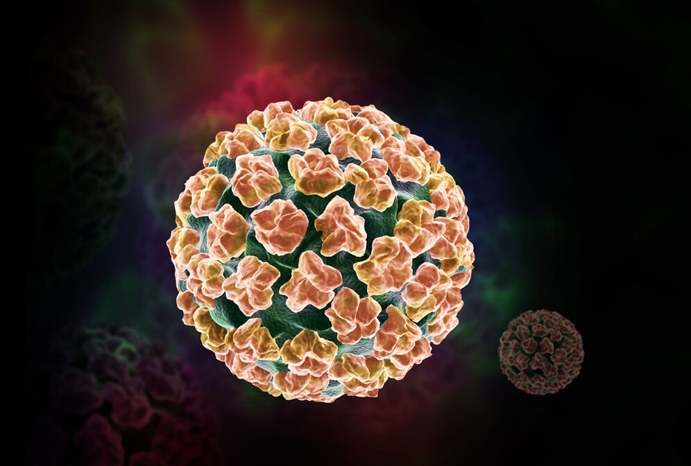 Papillomavirus umano nel corpo
