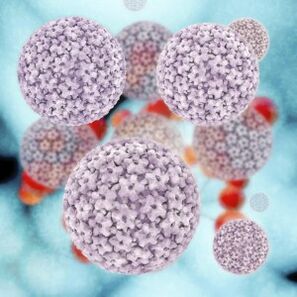 molecole di papillomavirus umano